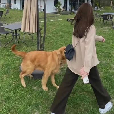 虚线的恶意